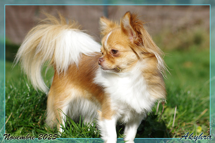 Utopique Minfilia Du Val d'Akyhra